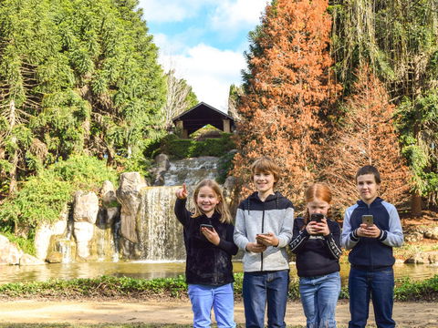Hunter Valley Gardens Virtual Treasure Trail - Accommodation ACT 1