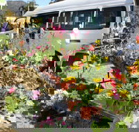 Johns River Country Markets - Accommodation ACT