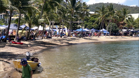 Lions Airlie Beach Community Markets - Accommodation ACT 0