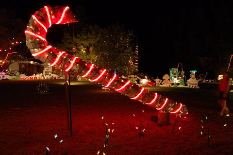 Loxton Christmas Lights Festival - Accommodation ACT 2