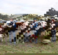 Noorat Show - Accommodation ACT