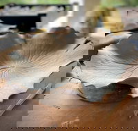 Online live streaming class DIY Clay Hand Building for Beginners - Accommodation ACT
