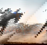 Rodeo by the Sea - Streaky Bay - Accommodation ACT
