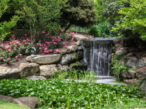 Spring Time At Hunter Valley Gardens - Accommodation ACT 1
