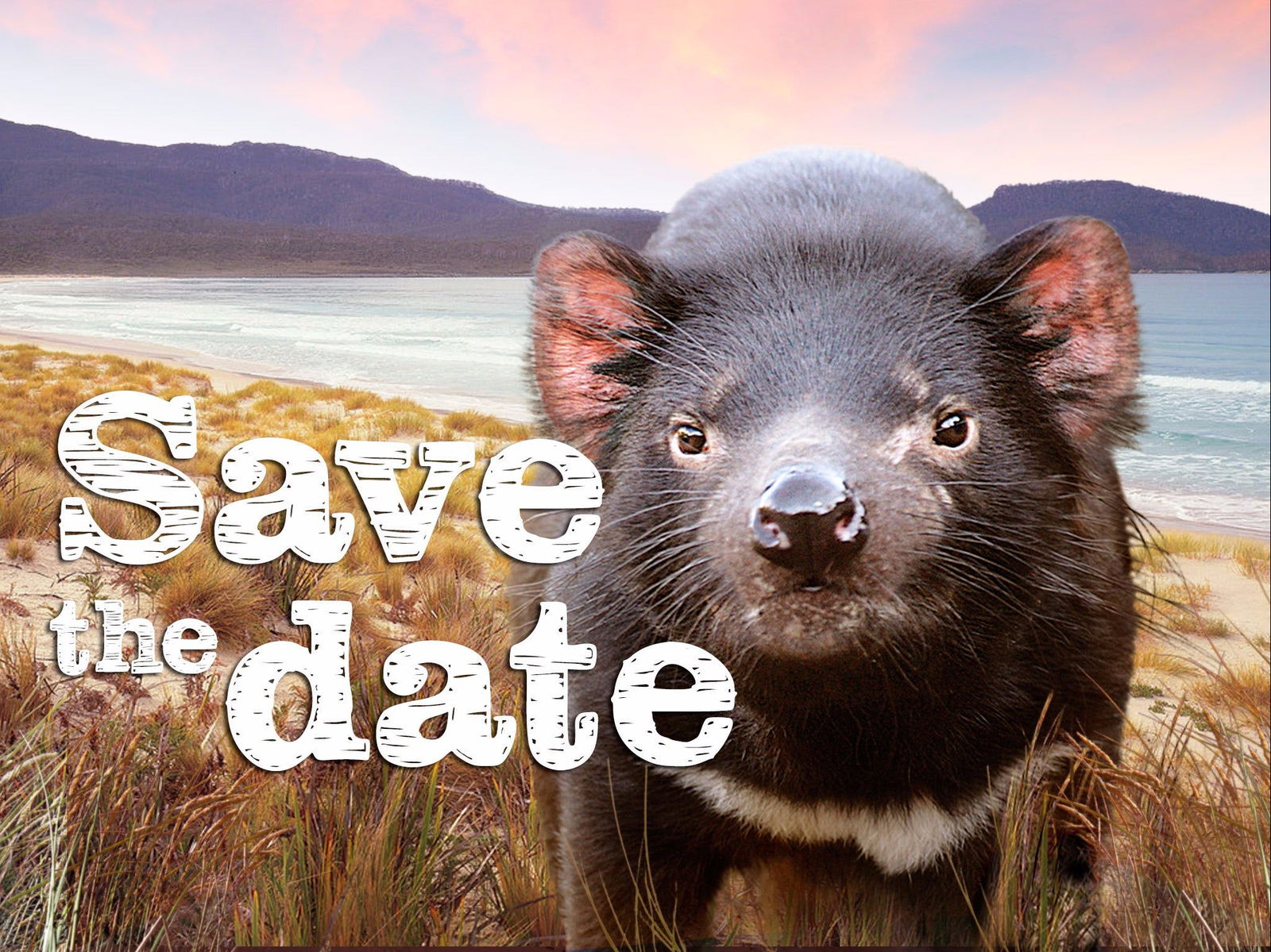 Pawtella TAS Accommodation ACT
