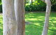 The Retreat Port Stephens - thumb 2