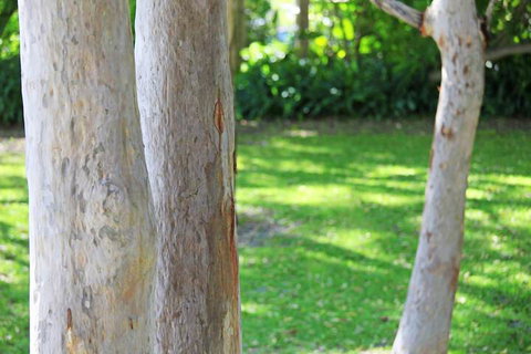 The Retreat Port Stephens - Accommodation ACT 2