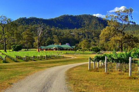 Ascella Organic Wine - Accommodation ACT 0