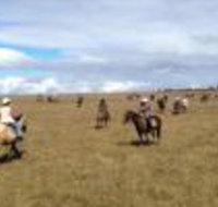Susan River Homestead - Accommodation ACT