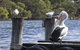 Mandurah Riverfront Holiday Rental - thumb 4