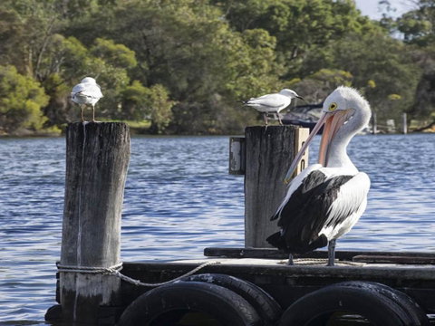 Mandurah Riverfront Holiday Rental - Accommodation ACT 4