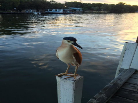 Mandurah Riverfront Holiday Rental - Accommodation ACT 1