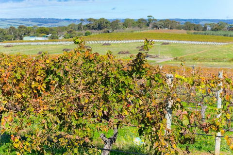 Sun & Surf Aldinga Beach Apartment - Accommodation ACT 6