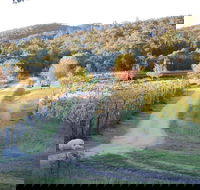 Twisted Gum Cottage - Accommodation ACT