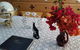 Sonjas Bed And Breakfast - thumb 3