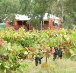 Fergies Hill Spa Cottage at Granite Ridge Wines - Accommodation ACT