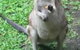 Bluewater Bed & Breakfast Cairns - thumb 0
