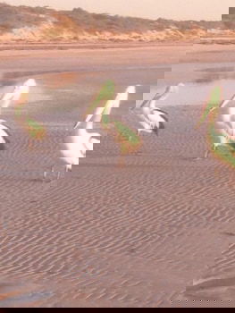 Perlubie Sea - Accommodation ACT 6