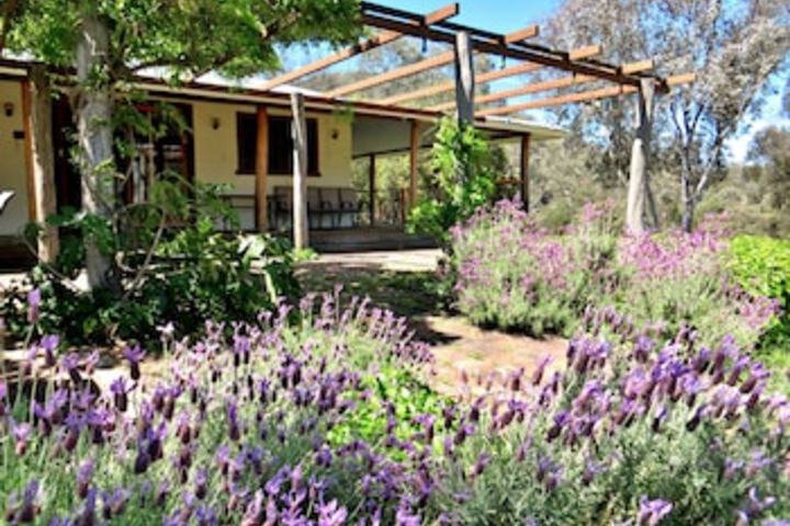  Accommodation ACT