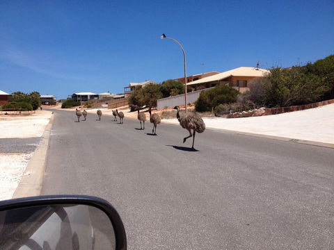 Shark Bay B & B - Accommodation ACT 6