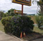 Golden West Motor Inn - Accommodation ACT
