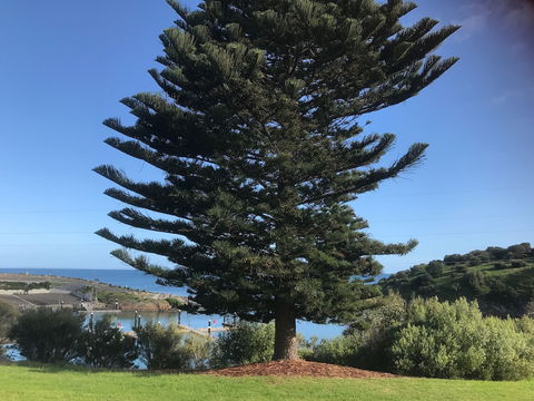 Penneshaw Oceanview Apartments - Accommodation ACT 5
