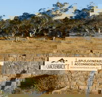 Ecocrackenback 16 'Sustainable chalet close to the slopes.' - Accommodation ACT