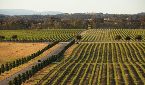 The Mitchelton Hotel Nagambie - MGallery By Sofitel - Accommodation ACT 1