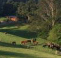 Amaroo Valley Springs - Accommodation ACT