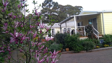 The Best Exotic Magnolia Cottage - Accommodation ACT 4