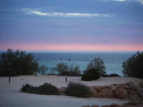 Denham Seaside Caravan Park - Accommodation ACT 1