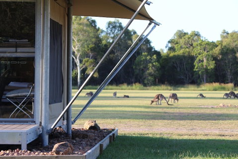 Habitat Noosa - Accommodation ACT 3