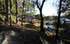 Bayscape At Hardys Bay / Killcare - thumb 6