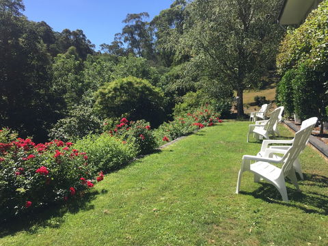 Brentwood B&B Apartments - Accommodation ACT 4