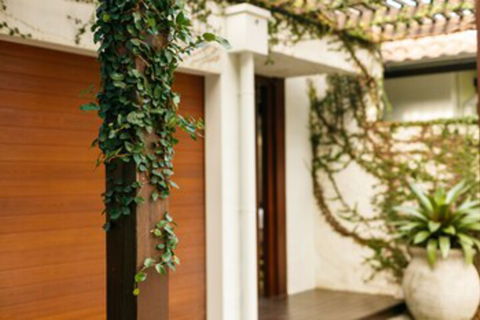 ESPRIT 2 PALM COVE BRAND NEW - Accommodation ACT 0