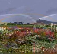 Boat Harbour Garden Cottages - Accommodation ACT