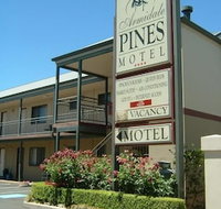 Armidale Pines Motel - Accommodation ACT