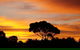 Lindsays Of Kangaroo Island - thumb 0