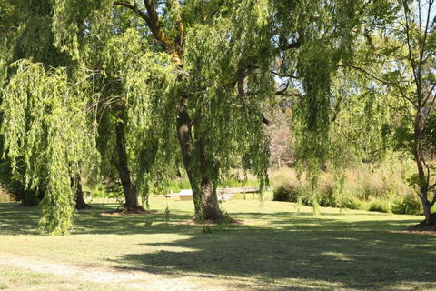 Little Lake Cottage - Accommodation ACT 1