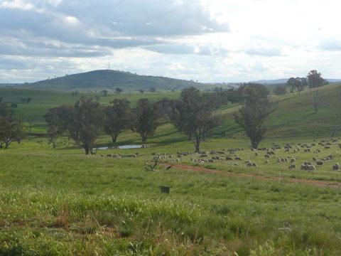 Wantana Cottage Farmstay - Accommodation ACT 1