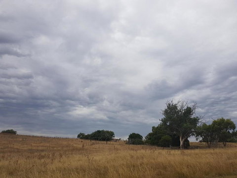 Wantana Cottage Farmstay - Accommodation ACT 4