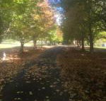 A peaceful cabin in the country - Accommodation ACT