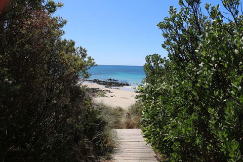 Sisters Beach Paradise - Accommodation ACT 2