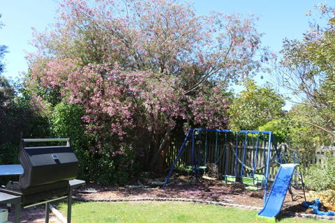 Sisters Beach Paradise - Accommodation ACT 3