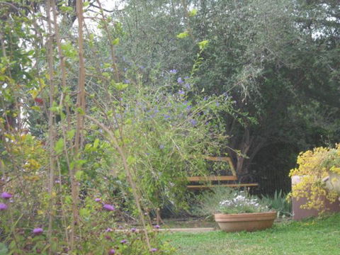 Amalie Cottage Waikerie Unit 1 - Accommodation ACT 5