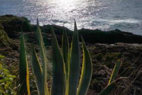 Ven & Marks Place - Accommodation ACT 0