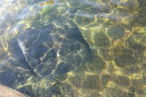 Ven & Marks Place - Accommodation ACT 4