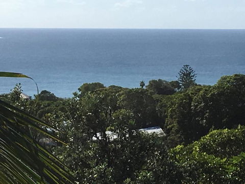 Cylinder Palms - Accommodation ACT 5