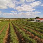 Barossa Valley Lyndoch - Accommodation ACT 0