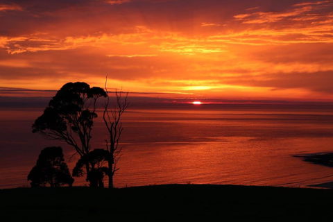 Penguin Seaside Farm - Accommodation ACT 2